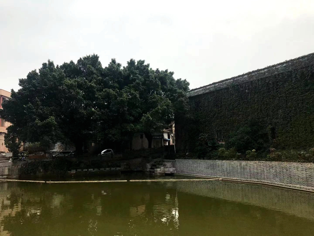 ΢��ͼƬ_20210329125418.jpg