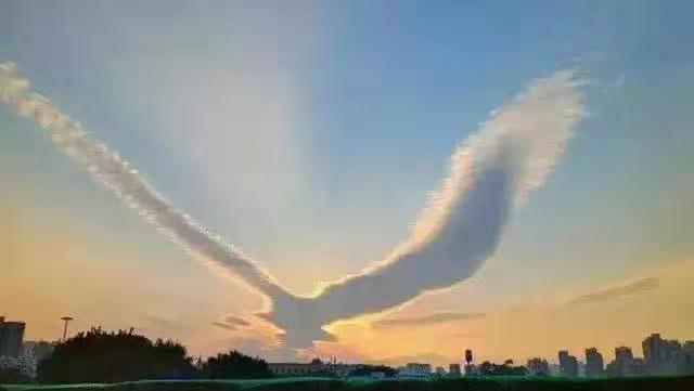 ΢��ͼƬ_20210526113655.jpg