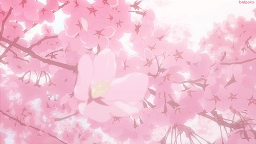mmexport0e60885c74266126c71c3401949c8928_1646711223473.gif