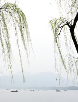 3.5.jpg