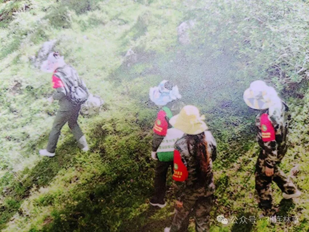 Image_1753505879250.jpg