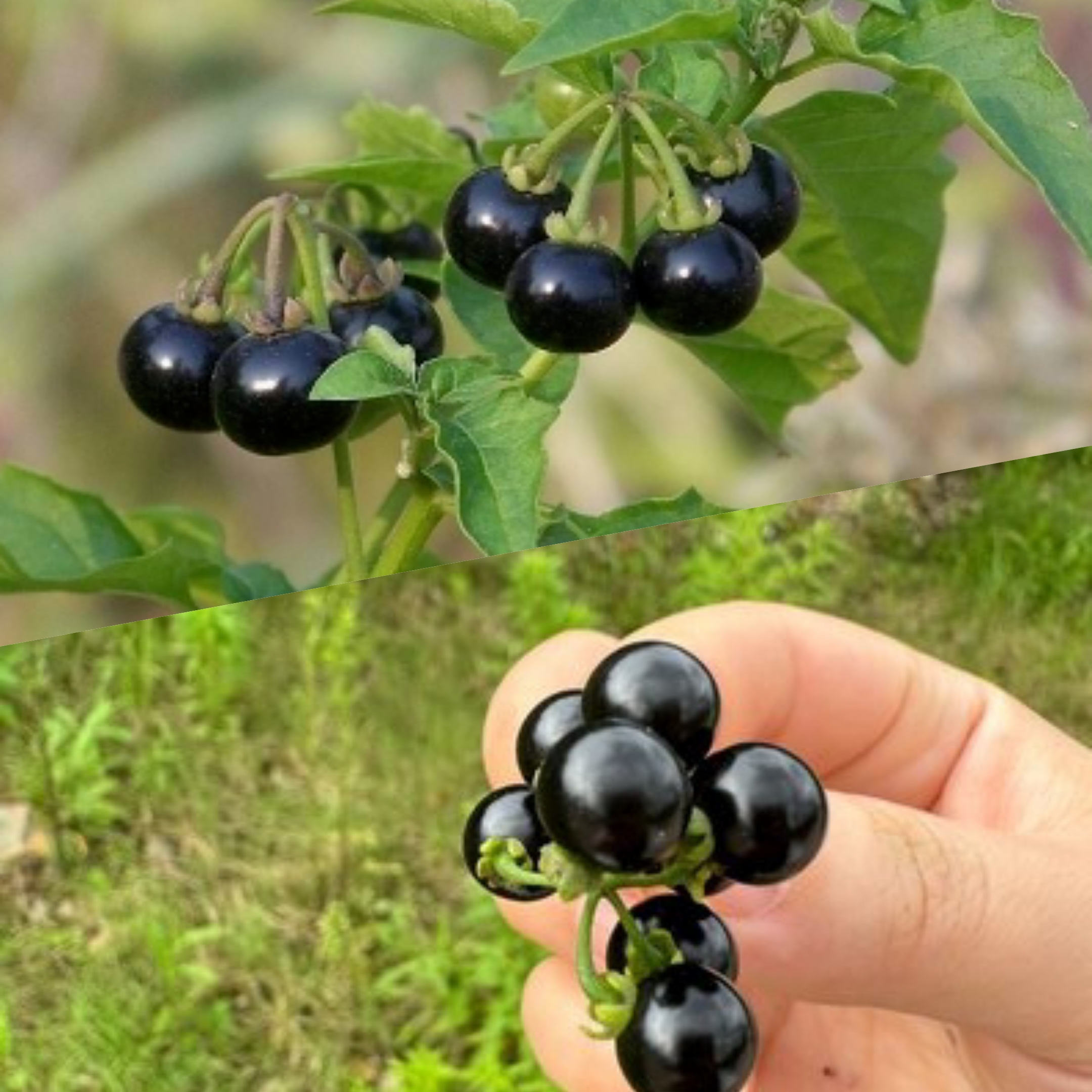 ΢��ͼƬ_20250810204455.jpg